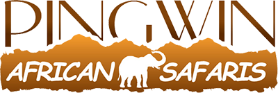SAFARI